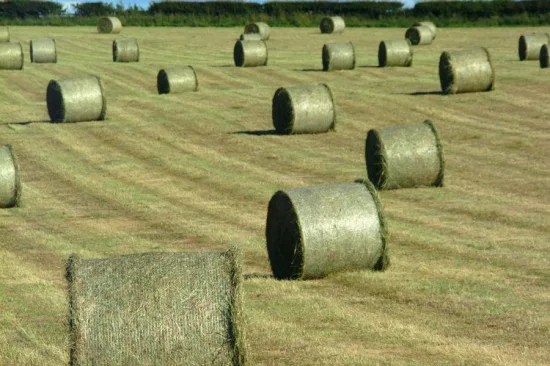 50cm HDPE Wrapping Round Bales Net