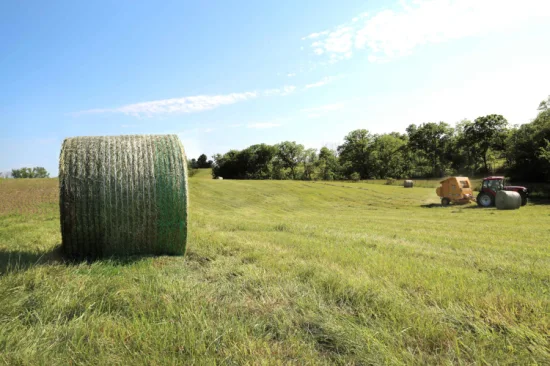 100% Virgin HDPE High Quality Round Biodegradable Bale Round 50cm Plastic Hay Bale Wrap Net